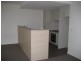 55 Kestral Circuit, Shortland NSW 2307
