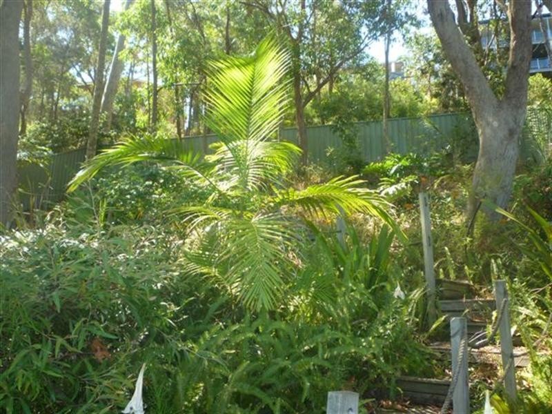 Wangi Wangi NSW 2267