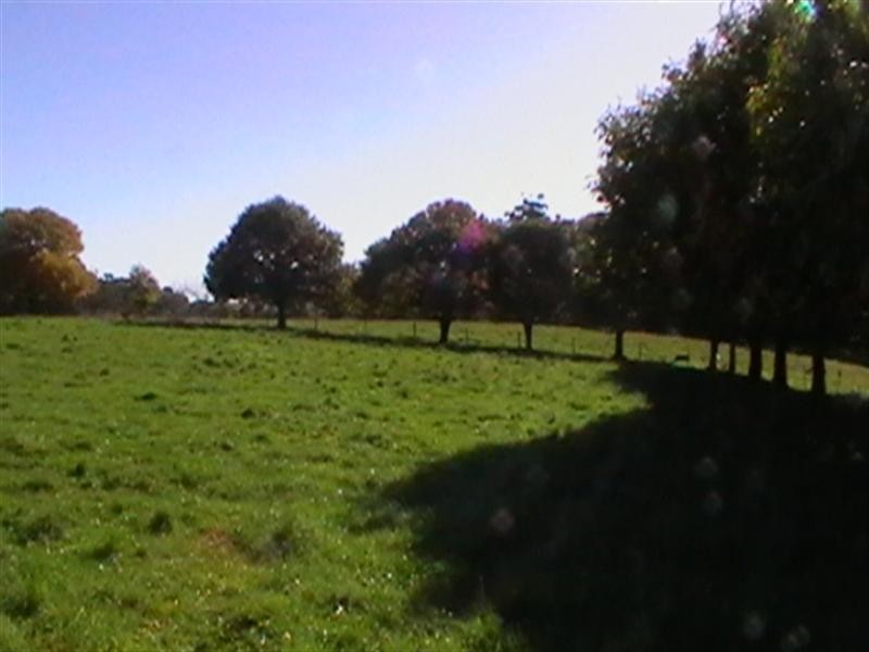 1 FINNS Road, Rawson VIC 3825