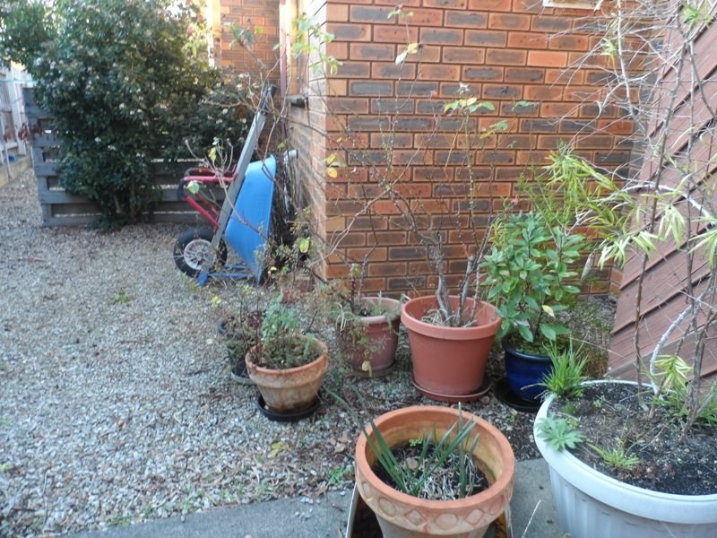 6/39 Bank Street, Traralgon VIC 3844