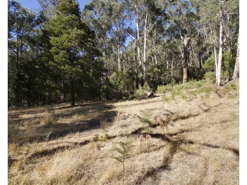 783 Jumbuk Road, Jeeralang Junction VIC 3840