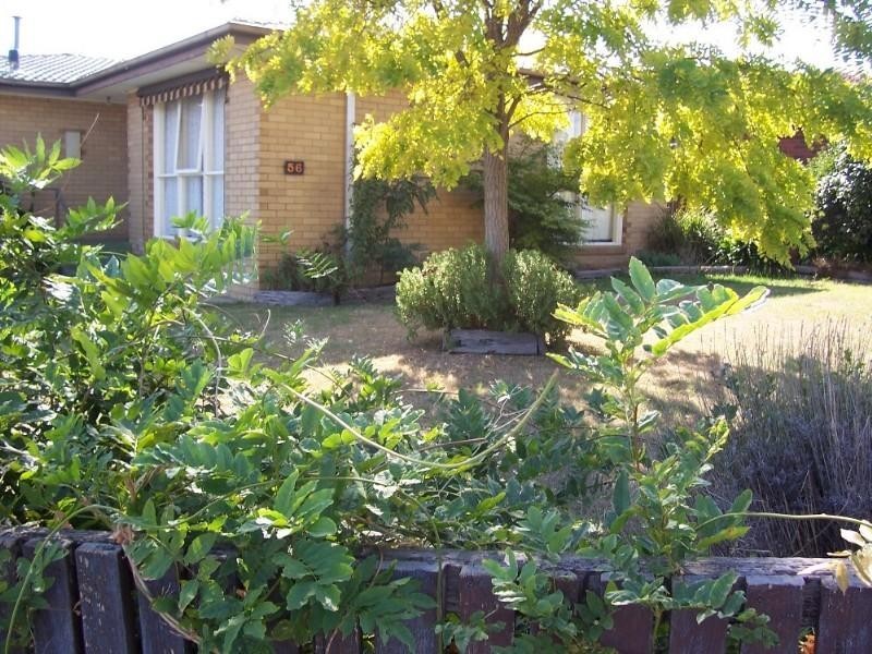 56 Davidson Street, Traralgon VIC 3844