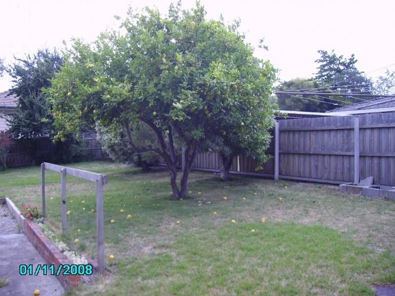 29 Henry Street, Traralgon VIC 3844