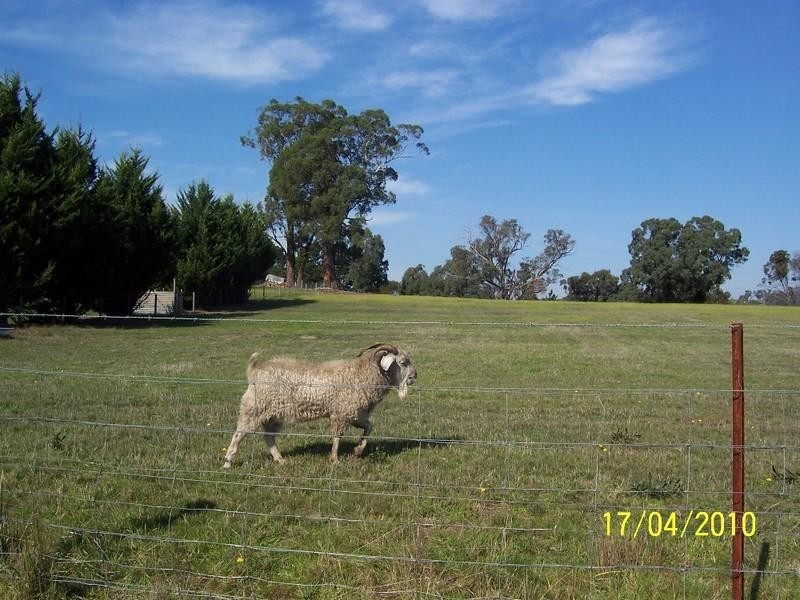 4 Calladale Court, Gormandale VIC 3873