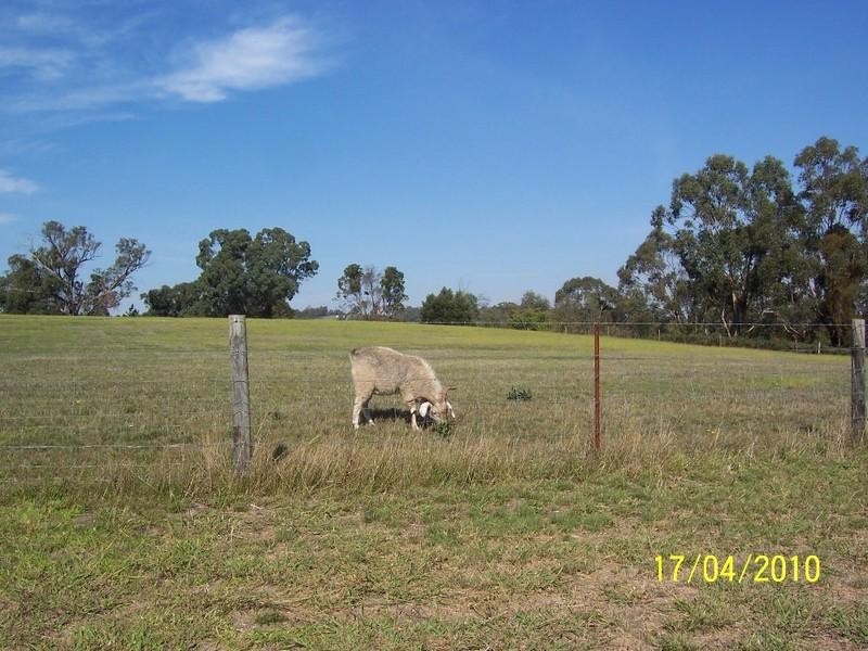 4 Calladale Court, Gormandale VIC 3873