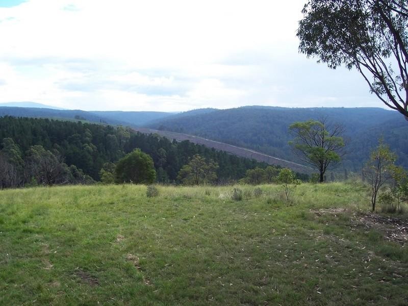 Tyers VIC 3844