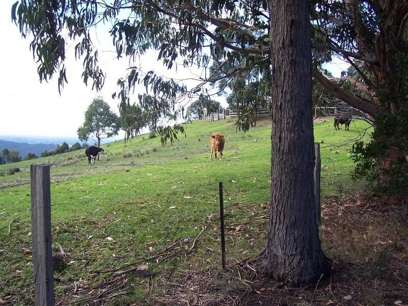 Tyers VIC 3844