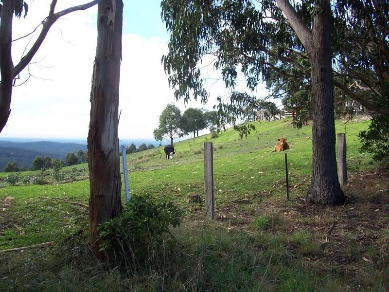Tyers VIC 3844
