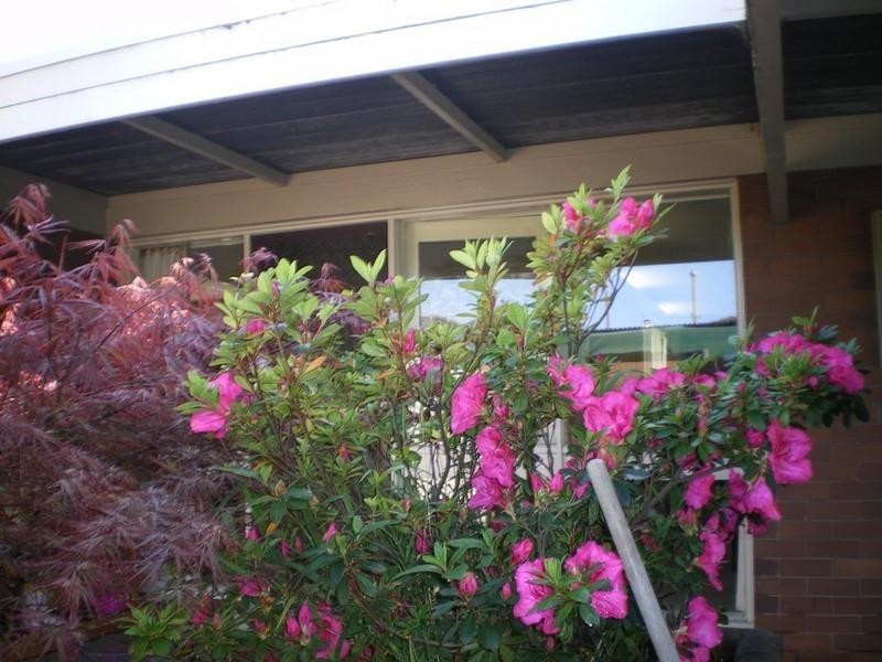 63 Kosciusko Street, Traralgon VIC 3844