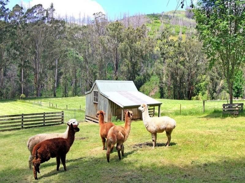 2210 Traralgon Creek Road, Koornalla VIC 3844