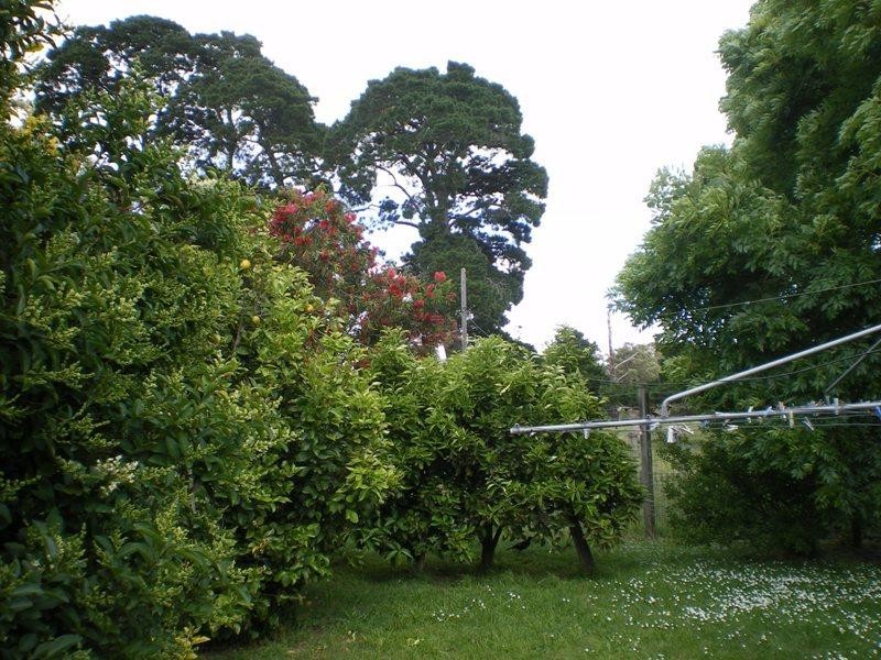 102 Bassets Lane, Glengarry VIC 3854