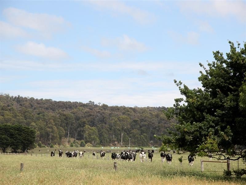 295 Glengarry North Road, Glengarry VIC 3854