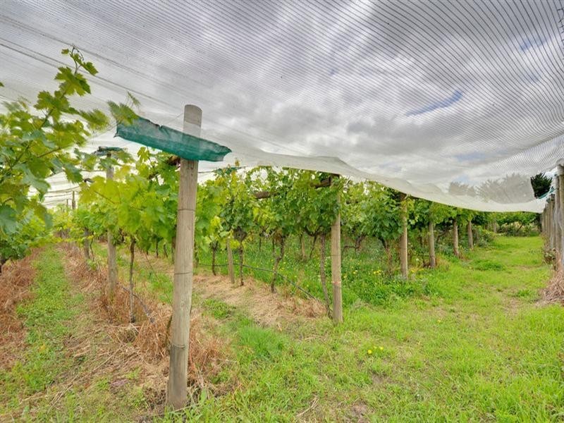 40 Easterley Drive, Traralgon VIC 3844