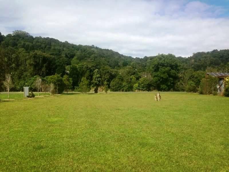 1 Coolamon View, Currumbin Valley QLD 4223