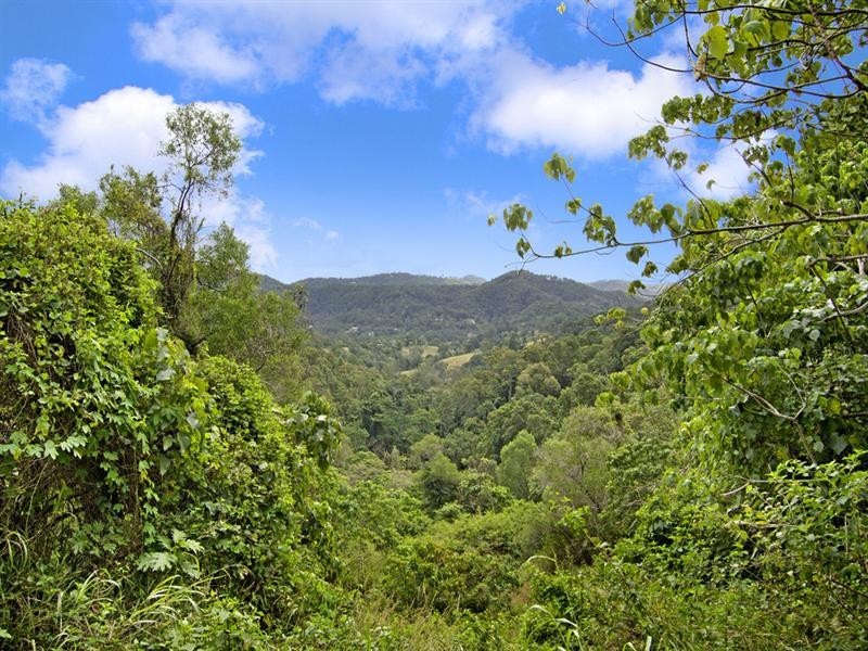 169 Ducats Road, Tallebudgera Valley QLD 4228