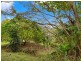 169 Ducats Road, Tallebudgera Valley QLD 4228