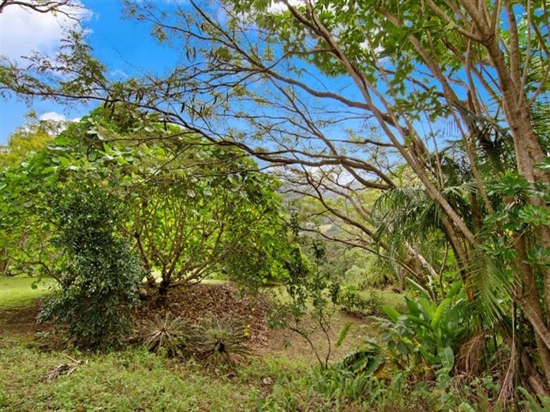 169 Ducats Road, Tallebudgera Valley QLD 4228