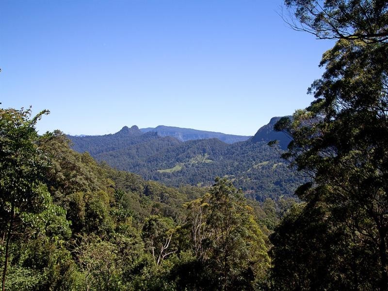 677 Tomewin Mountain Road, Currumbin Valley QLD 4223