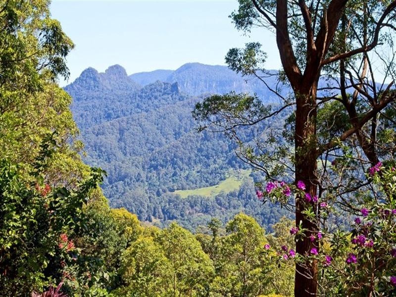 677 Tomewin Mountain Road, Currumbin Valley QLD 4223