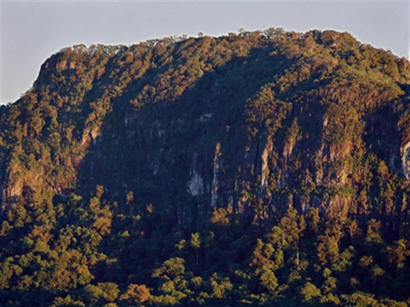 677 Tomewin Mountain Road, Currumbin Valley QLD 4223