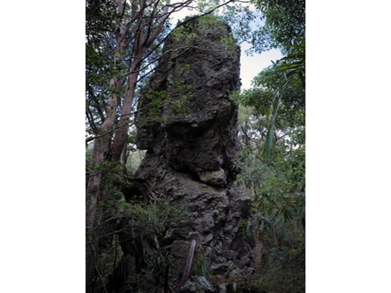 677 Tomewin Mountain Road, Currumbin Valley QLD 4223