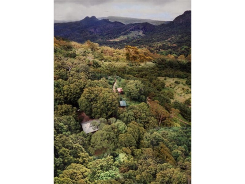 677 Tomewin Mountain Road, Currumbin Valley QLD 4223