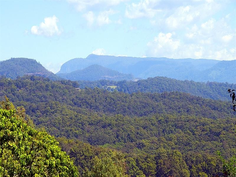 29 Westminster Boulevard, Elanora QLD 4221