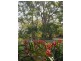 29 Westminster Boulevard, Elanora QLD 4221