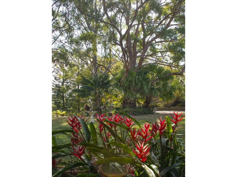29 Westminster Boulevard, Elanora QLD 4221