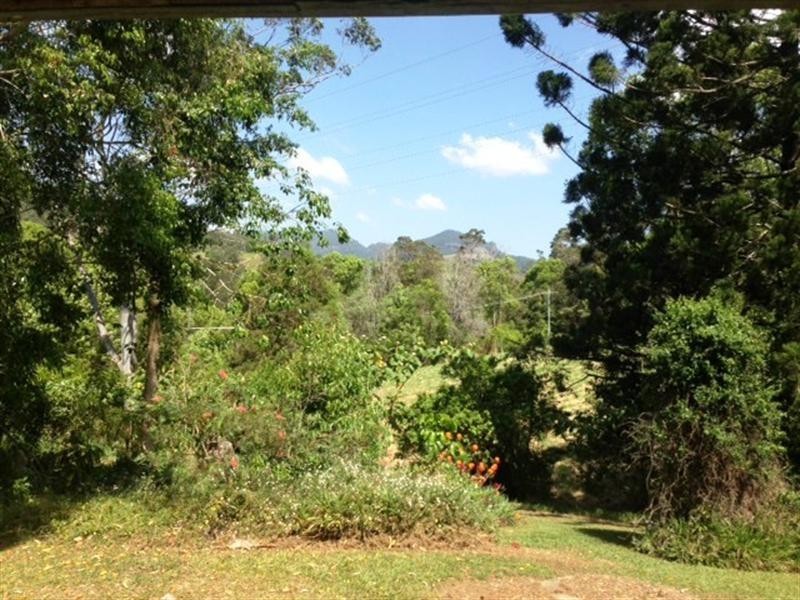 814 Tallebudgera Creek Road, Tallebudgera Valley QLD 4228