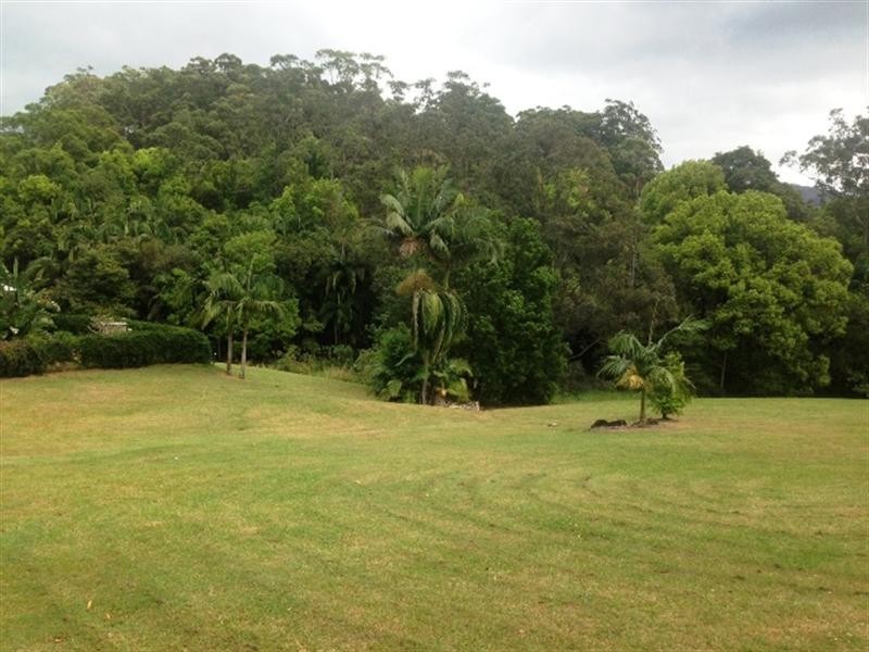438 Tomewin Mountain Road, Currumbin Valley QLD 4223