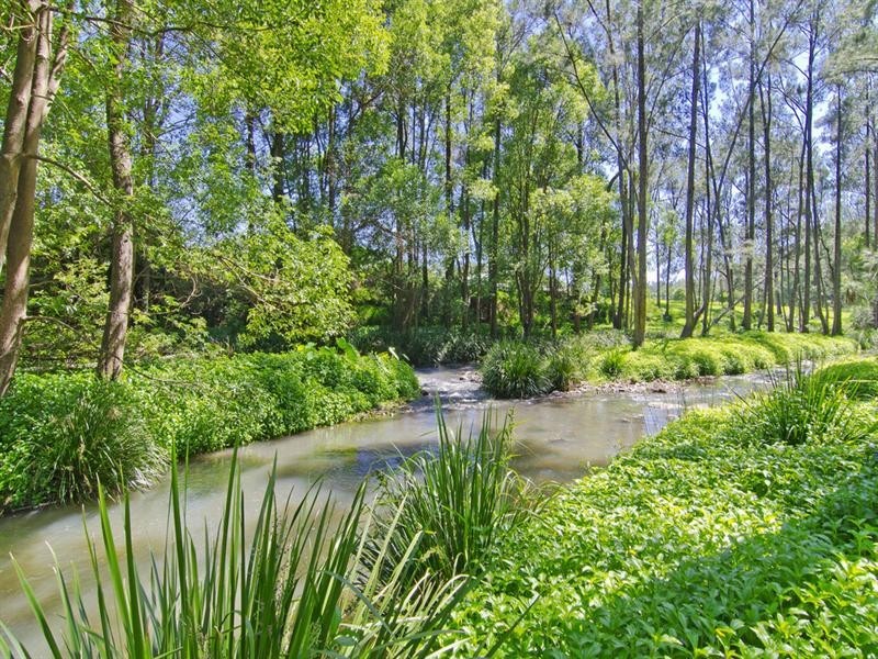 52A Syndicate Road, Tallebudgera Valley QLD 4228