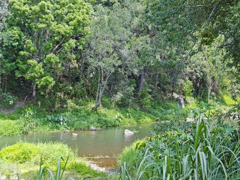 641 Tallebudgera Creek Road, Tallebudgera Valley QLD 4228