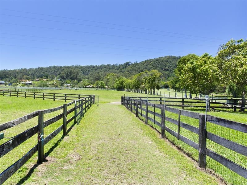 247 Tallebudgera Connection Road, Tallebudgera QLD 4228