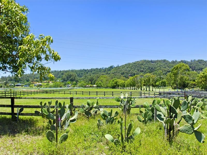 247 Tallebudgera Connection Road, Tallebudgera QLD 4228