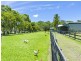 247 Tallebudgera Connection Road, Tallebudgera QLD 4228