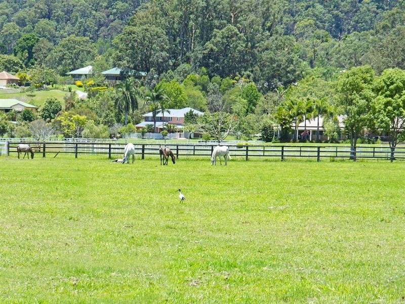 247 Tallebudgera Connection Road, Tallebudgera QLD 4228