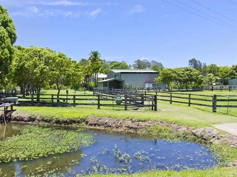 247 Tallebudgera Connection Road, Tallebudgera QLD 4228