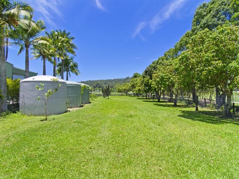 247 Tallebudgera Connection Road, Tallebudgera QLD 4228