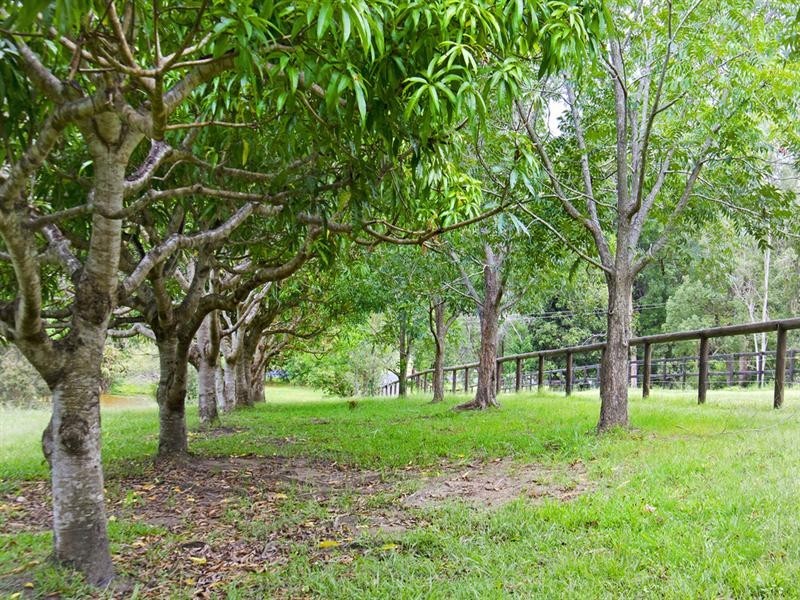 544 Tallebudgera Creek Road, Tallebudgera Valley QLD 4228
