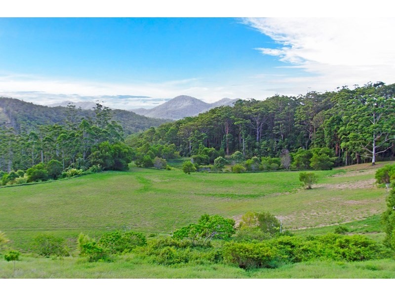 193 Petsch Creek Road, Tallebudgera Valley QLD 4228