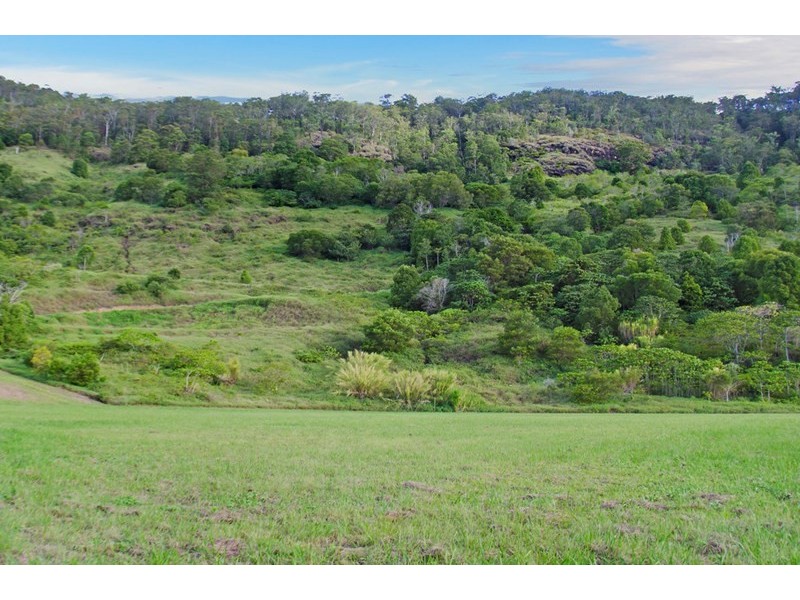 193 Petsch Creek Road, Tallebudgera Valley QLD 4228