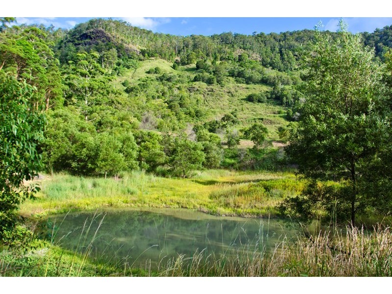 193 Petsch Creek Road, Tallebudgera Valley QLD 4228