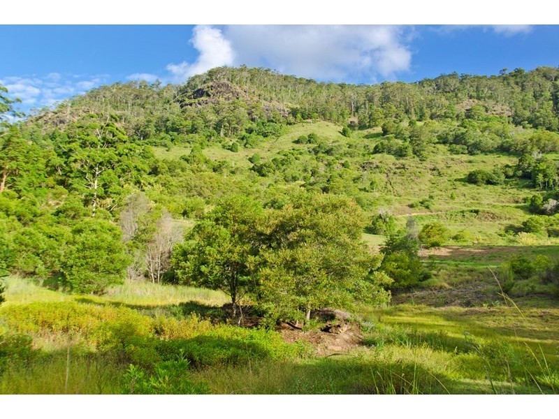 193 Petsch Creek Road, Tallebudgera Valley QLD 4228
