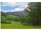 193 Petsch Creek Road, Tallebudgera Valley QLD 4228