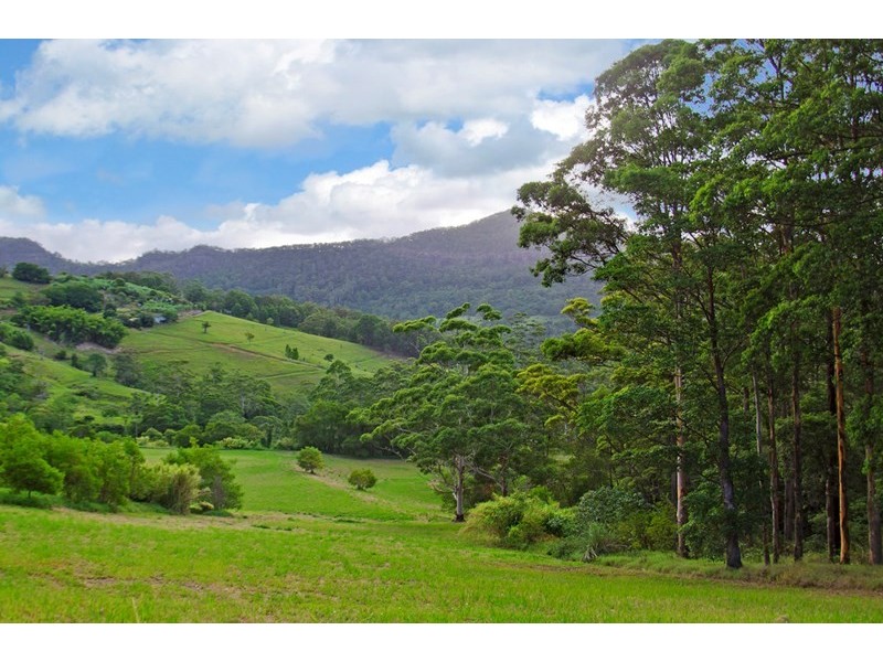 193 Petsch Creek Road, Tallebudgera Valley QLD 4228