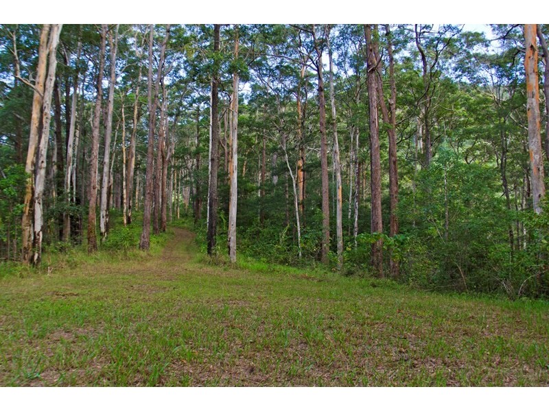 193 Petsch Creek Road, Tallebudgera Valley QLD 4228