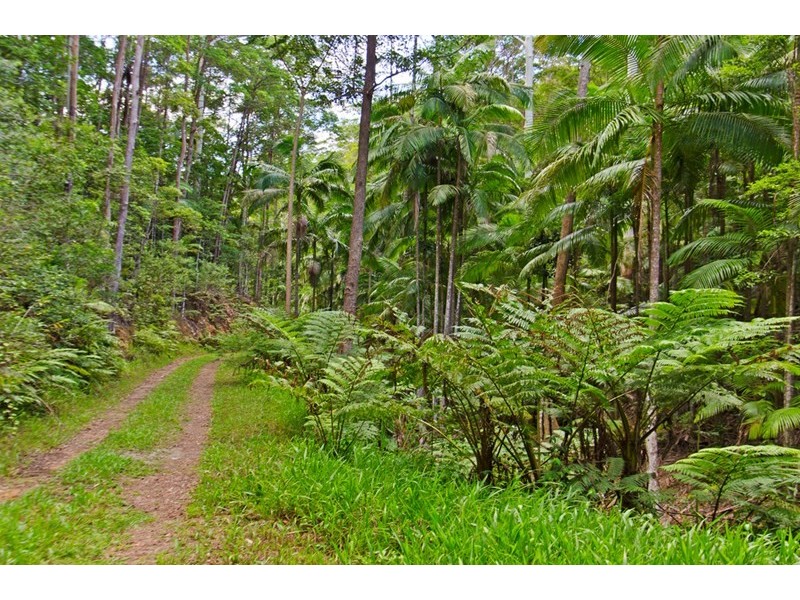 193 Petsch Creek Road, Tallebudgera Valley QLD 4228