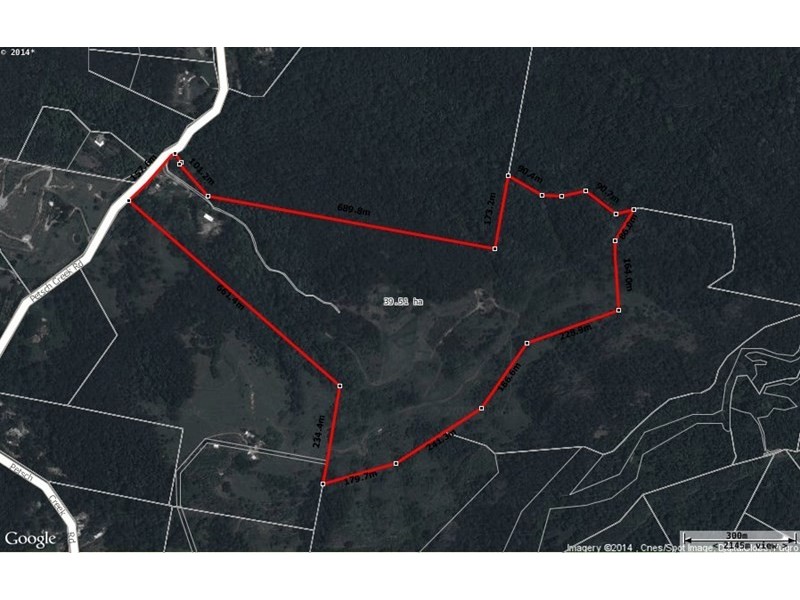 193 Petsch Creek Road, Tallebudgera Valley QLD 4228