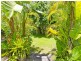 36 Leopard Avenue, Elanora QLD 4221